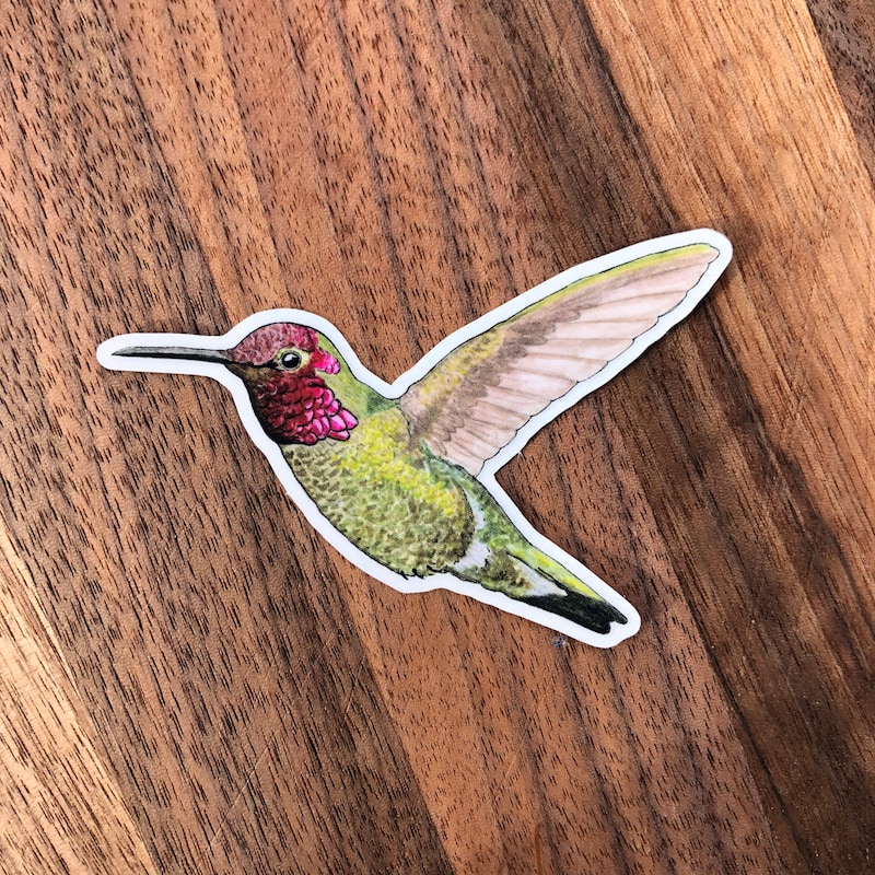 Hummingbird Sticker - Etsy