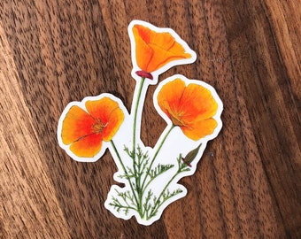 California Poppy sticker for waterbottle, laptop, etc.!