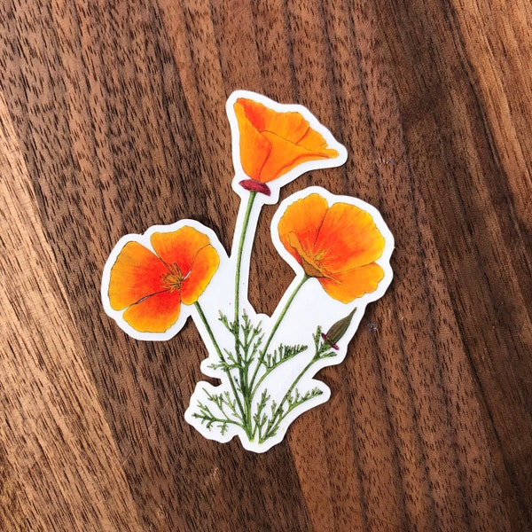 California Poppy sticker for waterbottle, laptop, etc.!