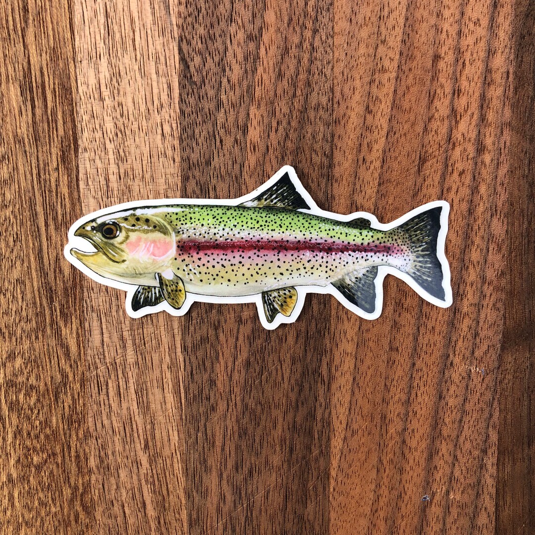 Rainbow Trout Sticker for Waterbottle Laptop Etc. Etsy