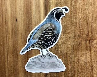 California Quail sticker for waterbottle, laptop, etc.!