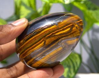 May include: A polished tiger's eye egg with a golden brown and black color pattern. The egg is smooth and has a glossy finish.
