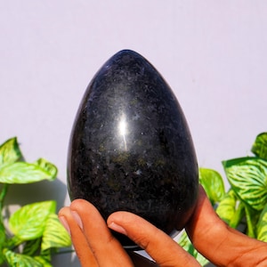 Rare Bloodshot Iolite Sunstone Egg: Crystal Healing Metaphysical Stone