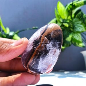 May include: An oval-shaped, polished gemstone with a mix of colours. The stone features bands of brown, black, and white, with a translucent quality. The stone is held in a hand, with green foliage in the background.