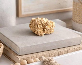 Fossilized Coral Specimen | Natural Coral Fossil | Ancient Marine Fossil Decor | Coastal Curiosity | Organic Stone Display