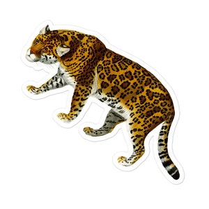 Vintage Jaguar illustratie sticker, Waterfles sticker