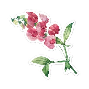 Naklejki Vintage Orchid, Naklejki na Butelki z Kwiatami