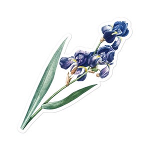 Vintage Iris Sticker, Botanische Waterfles Sticker