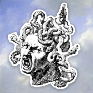 Godfried Maes - Sticker tête de méduse, sticker artistique