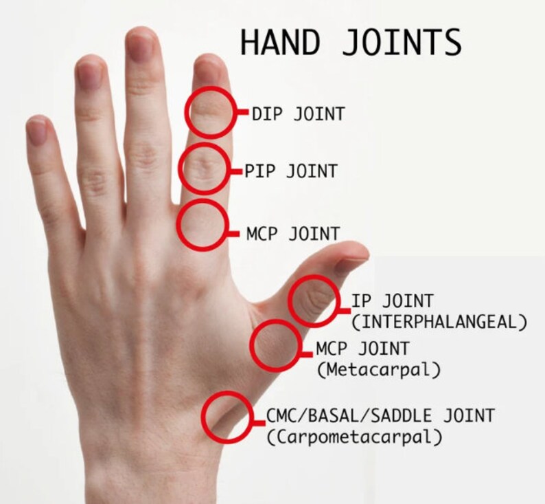 May include: Diagram of a hand showing the different joints, labelled with their names: DIP, PIP, MCP, IP (Interphalangeal), MCP (Metacarpal), CMC/Basal/Saddle (Carpometacarpal).