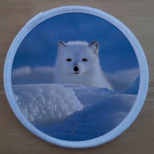 May include: A white arctic fox with blue eyes peeks out from behind a snowdrift. The fox is in a snowy landscape with a blue sky in the background.