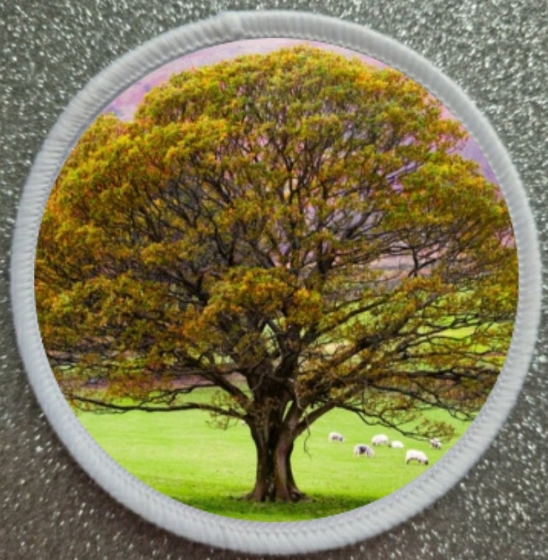 3 Inch Oak Tree Patch Badge - Etsy