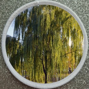3 inch Weeping Willow Tree Patch Badge