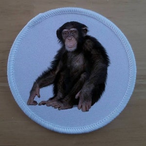 Badge patch de chimpanzé