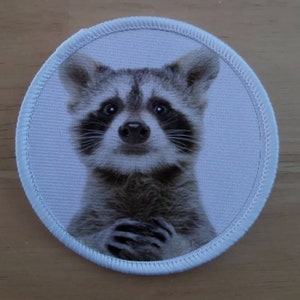 Könnte beinhalten: Ein runder weißer Patch mit einem Schwarzweißbild eines Waschbärenkopfes. Der Waschbär schaut direkt in die Kamera, seine Pfoten sind vor ihm.