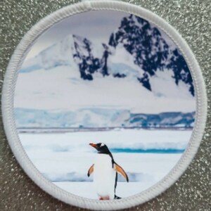 May include: A white and black penguin stands on a snowy landscape with a mountain range in the background. The penguin is facing to the right and has a bright orange beak.