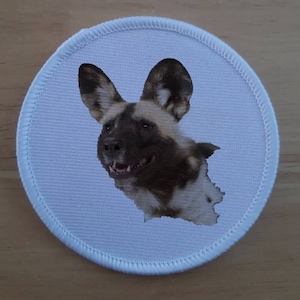 Puede incluir: Un parche redondo blanco con un perro salvaje africano marrón y blanco con orejas grandes. El perro mira hacia la derecha y tiene la boca abierta.