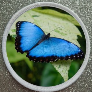 3 Inch Butterfly patch badge
