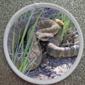 Könnte beinhalten: Nahaufnahme einer braunen und braunen Schlange, die sich in hohem grünem Gras zusammenrollt. Die Schlange befindet sich in einer natürlichen Umgebung.