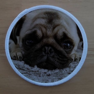 Pug patch badge