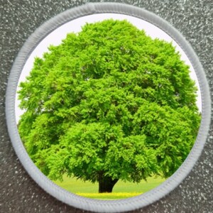 May include: A large, green tree with lush foliage stands in a field of yellow flowers. The tree is in focus, while the background is blurred.