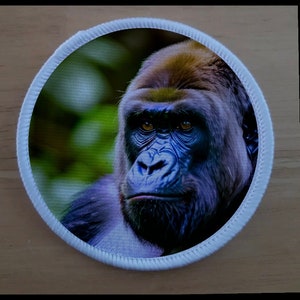 May include: A close-up of a gorilla's face. The gorilla has dark fur and a serious expression. The background is blurred and green.