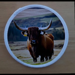 Parche de toro