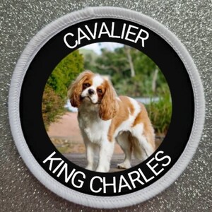 Op de afbeelding: Een ronde witte en zwarte patch met de tekst "Cavalier King Charles" in witte letters rond een foto van een bruine en witte Cavalier King Charles Spaniël.