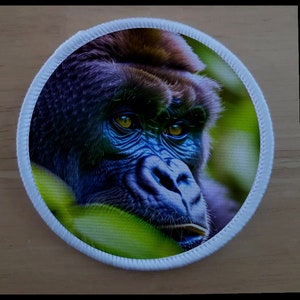 Könnte beinhalten: Nahaufnahme eines Gorillagesichts mit blau-grauem Fell und gelben Augen. Der Gorilla schaut direkt in die Kamera mit einem ernsten Ausdruck. Der Hintergrund ist ein verschwommenes Grün.