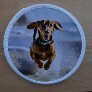 Puede incluir: Un dachshund marrón y tostado corriendo por una playa con un fondo azul y blanco. El perro lleva un collar turquesa.