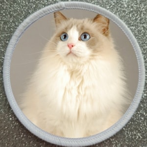 3 Inch Ragdoll Cat Sublimation Patch badge