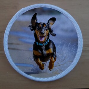 May include: A round patch featuring a happy dachshund dog with floppy ears and a blue collar, running through water. The dog is black and tan with a smiling expression. The patch has a white border.