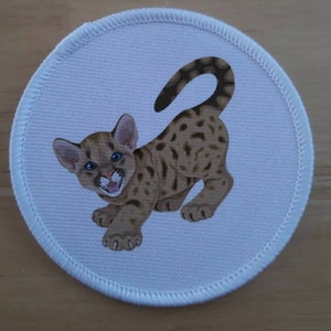 Könnte beinhalten: Ein weißer runder Patch mit einem braun-weiß gefleckten Kätzchen mit blauen Augen. Das Kätzchen schaut nach links und hat seinen Schwanz um seinen Körper gewickelt.