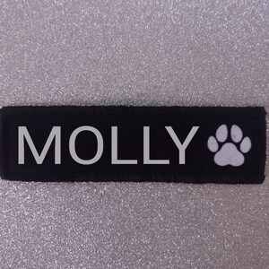 Puede incluir: Etiqueta de perro rectangular negra con texto blanco que dice "MOLLY" y una huella de pata blanca.