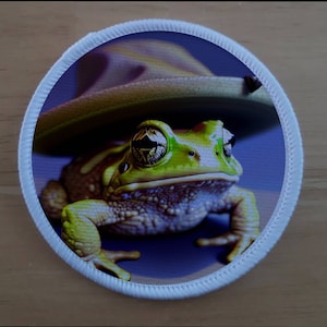 Pode incluir: Um sapo verde usando um chapéu marrom. O sapo tem olhos grandes e marrons e uma pele texturizada. O fundo é azul claro.