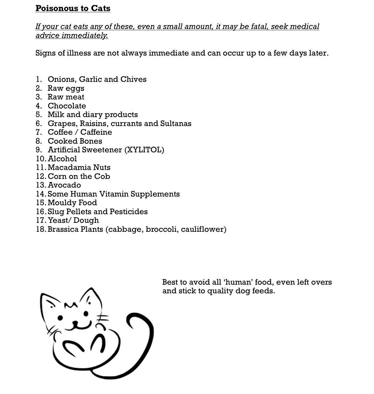 Kitten Feeding Schedule - Etsy