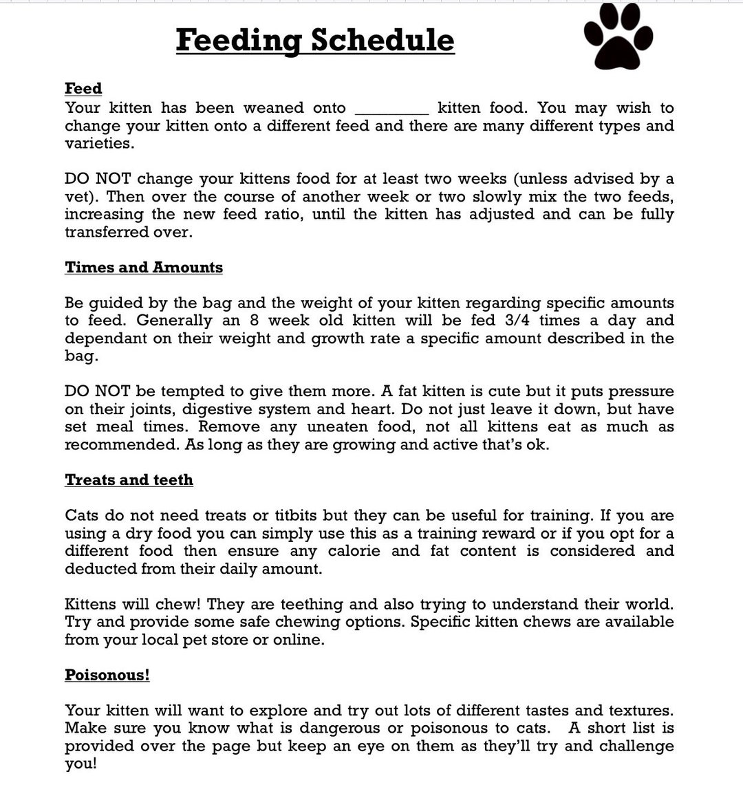 Kitten Feeding Schedule - Etsy