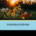 LittleDis ALittleDat