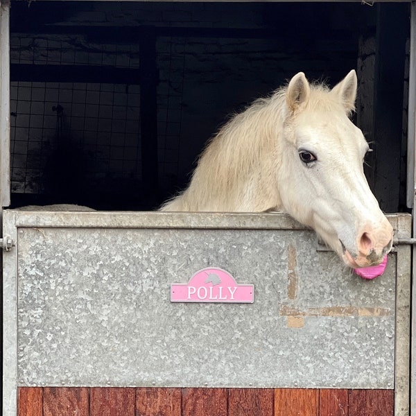 Placa de nombre de puerta estable de unicornio / grande / 23 opciones de color / Princess Pony / Childs Pony / Pony Door Sign / Stall Door Sign / Personalizado