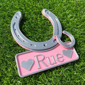 Lucky Horseshoe Keyring - 16 Colour Options