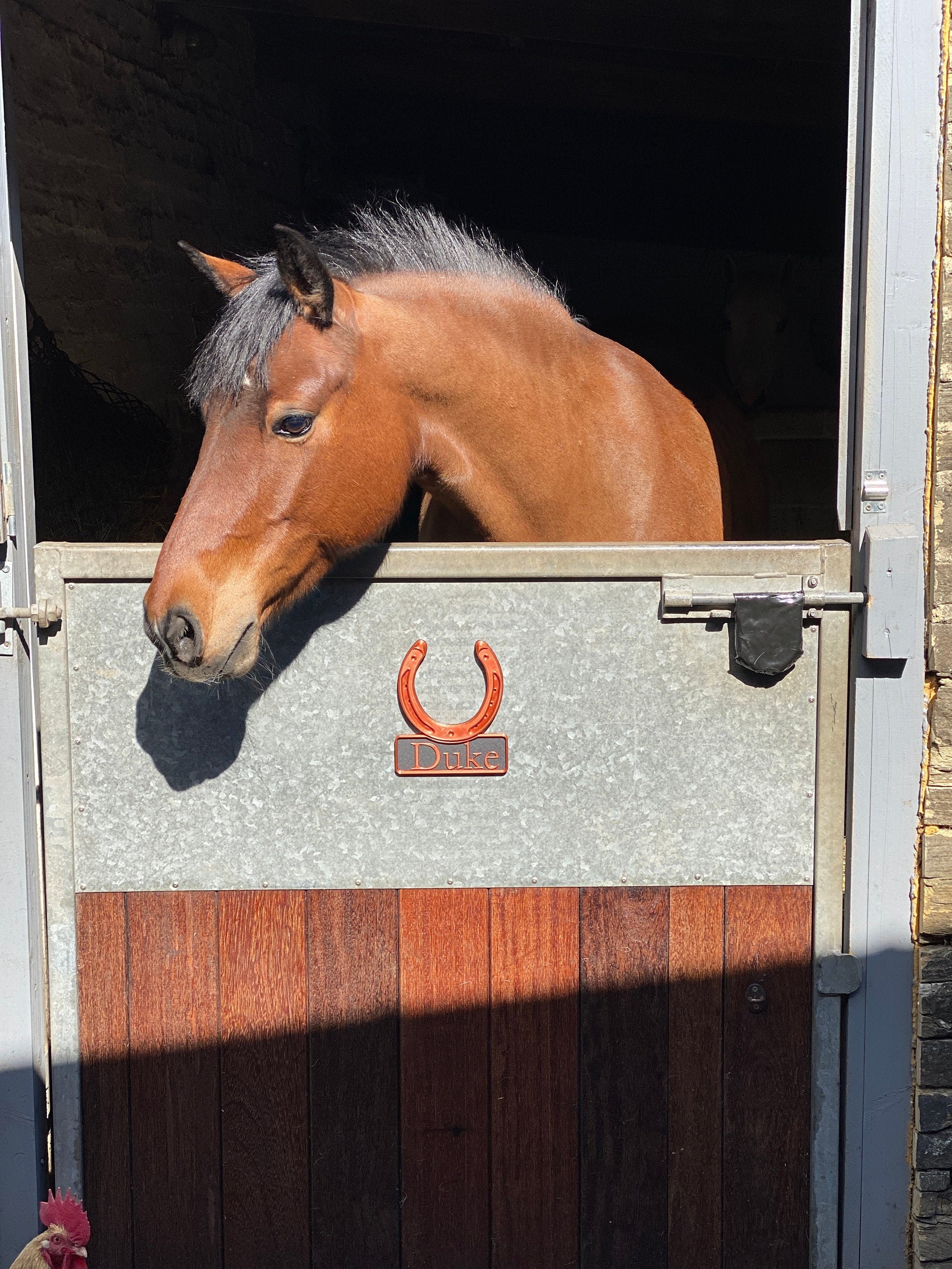 Plaque signalétique personnalisée en fer en forme de fer à cheval pour chevaux Logo personnalisé de grange de ferme antirouille d'animaux