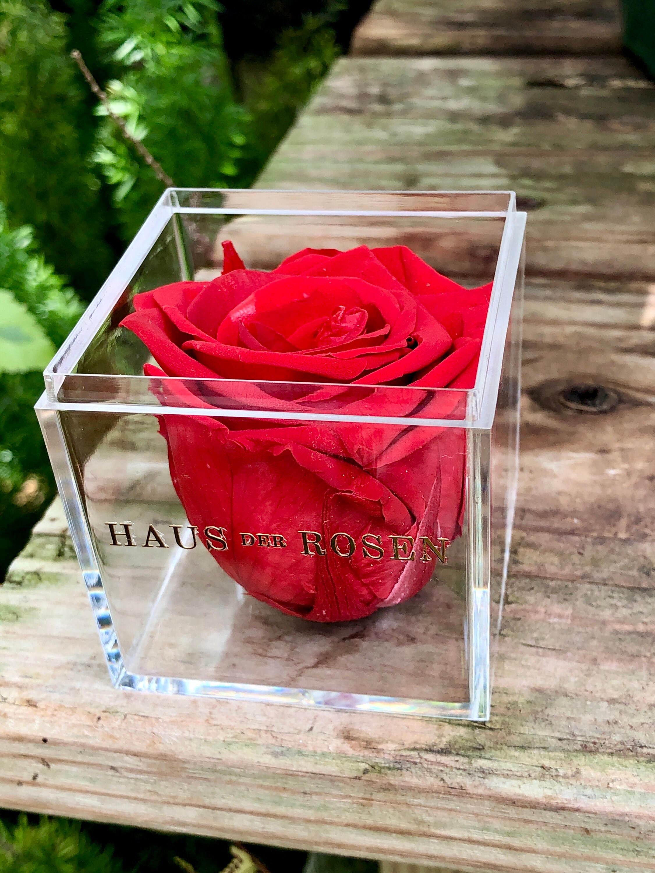 Preserved Forever Rose In Acrylic Box Fresh Eternal Flower Etsy