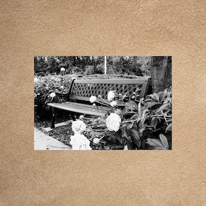 Awesome Park Bench Postcard, Bench Postcards, Black and White Photo, Roadside America, Postcrossing, Snail Mail, Postcard Art, Black & White