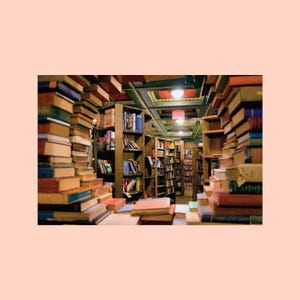 Vintage Bookstore Photo Postcard - I Love Books
