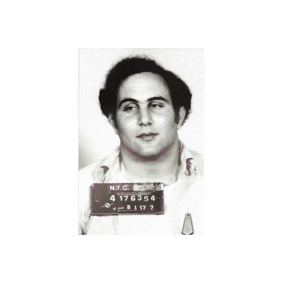Very Cool Serial Killer Postcard David Berkowitz Postcard Etsy