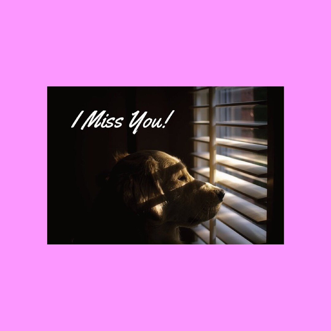 Adorable I Miss You Postcard Missing You Postcard Dog Etsy
