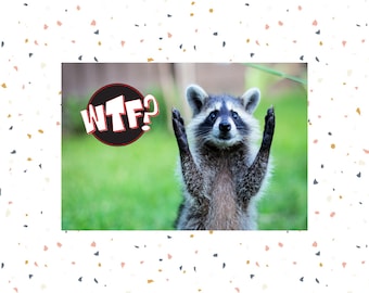 Funny Raccoon WTF Postcard, Humorous Snail Mail Postcards