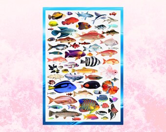 Awesome Fish Postcard, Fish Postcards, Aquatic Animals, Nautical, I Love Fishing