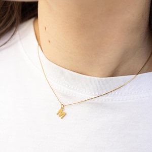 Zarte Buchstabenkette in Gold – filigrane Edelstahlkette mit Initial Anhänger, personalisierbare Halskette