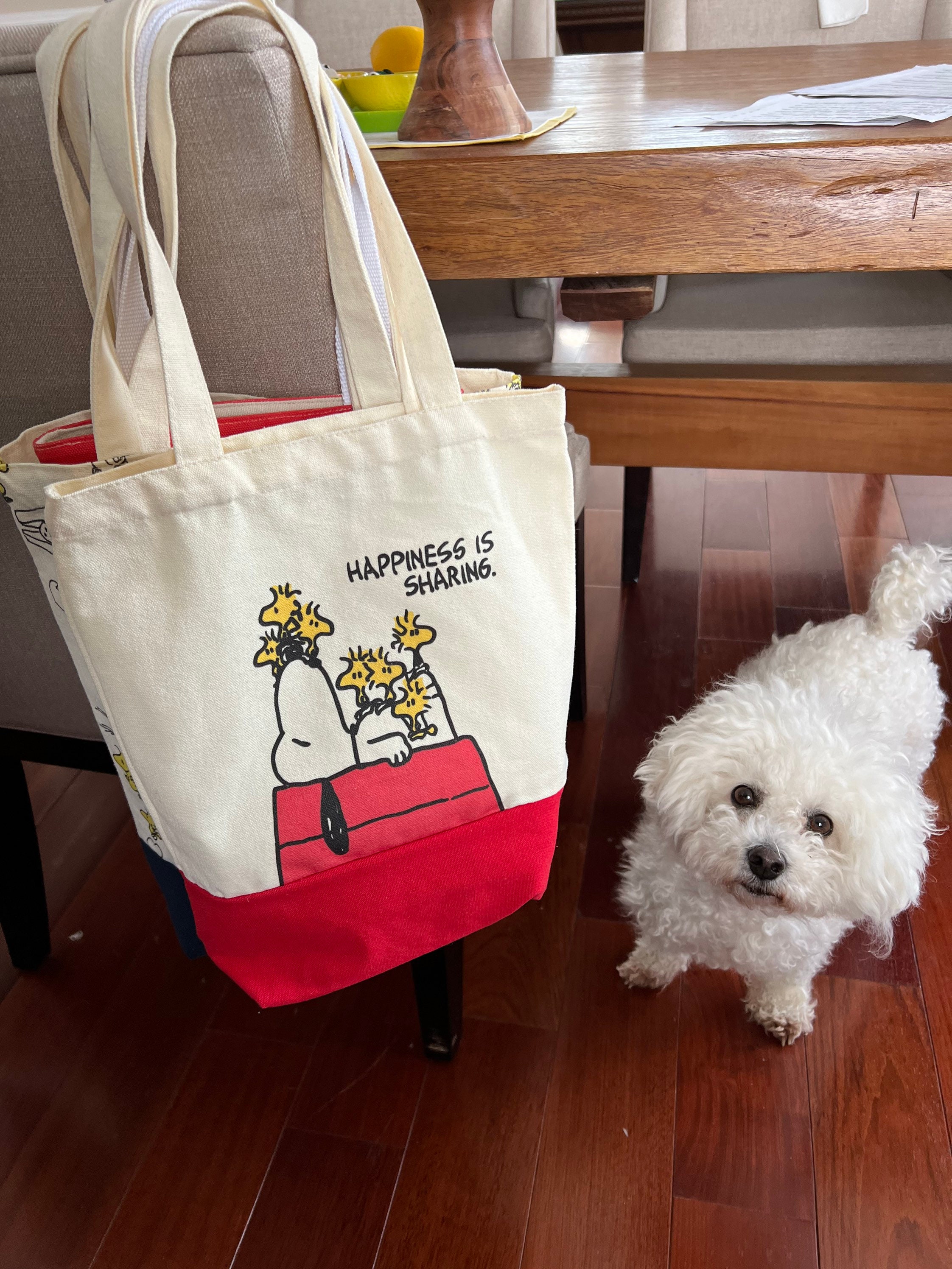 Skater Lunch Bag Canvas Tote Bag Snoopy (with Zipper) Peanuts 30×12.5×h18cm  YEB5 : Amazon.in: Garden & Outdoors